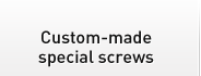 Custom-made special screws