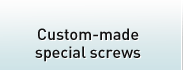 Custom-made special screws