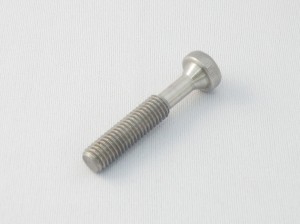 Special fall prevention screws1